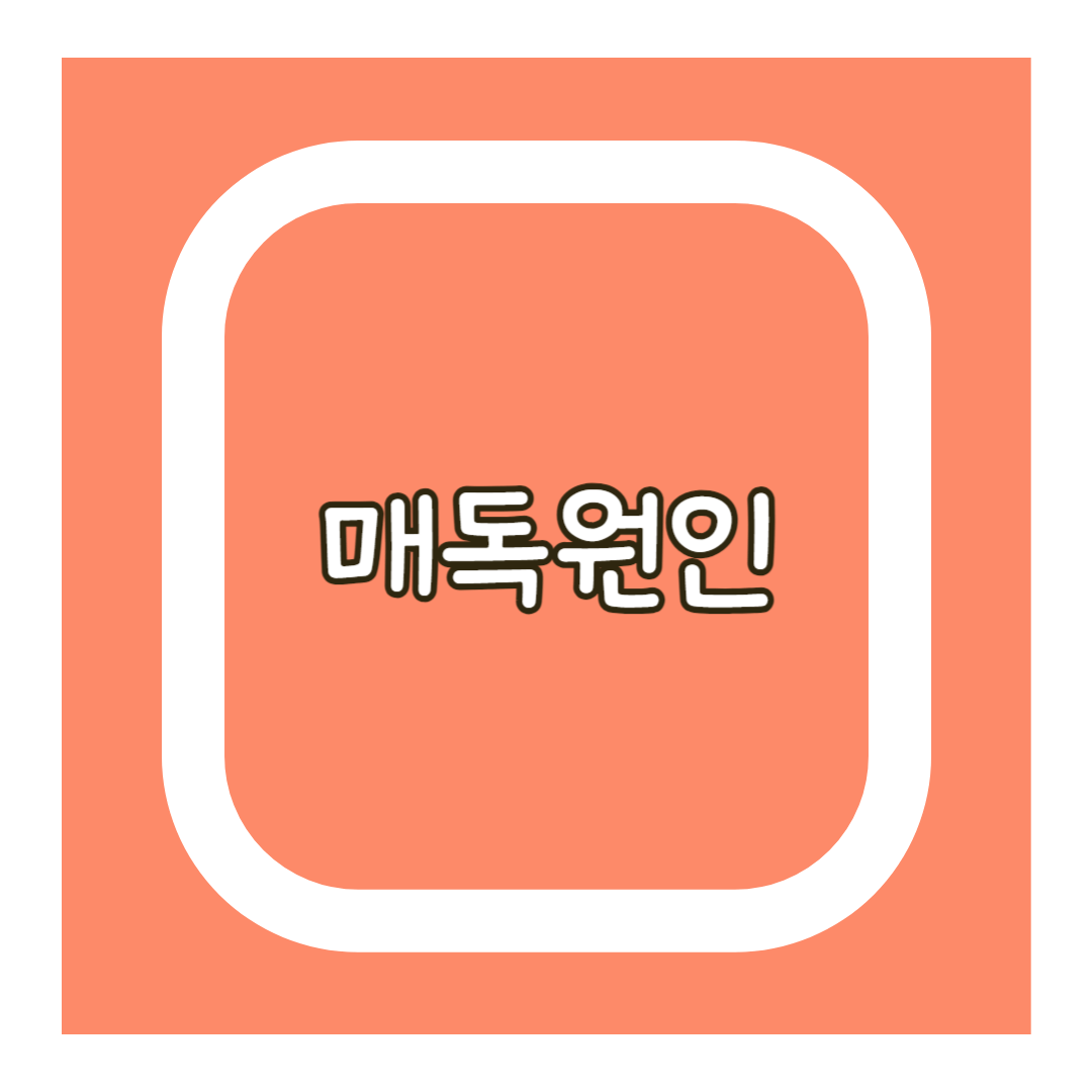 매독원인
