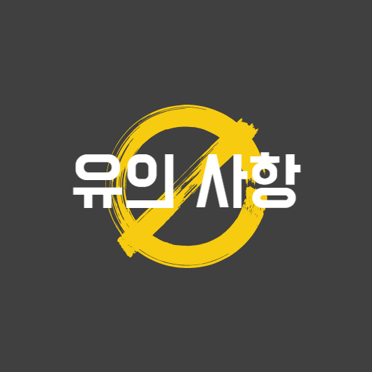 트래블 월렛, 페이 유의사항