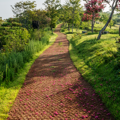 대구 군위 사유원 관람 예약