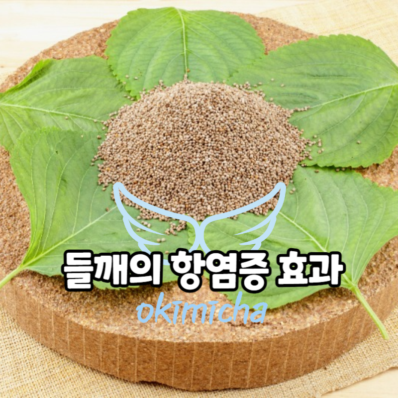 들깨의-항염증-효과