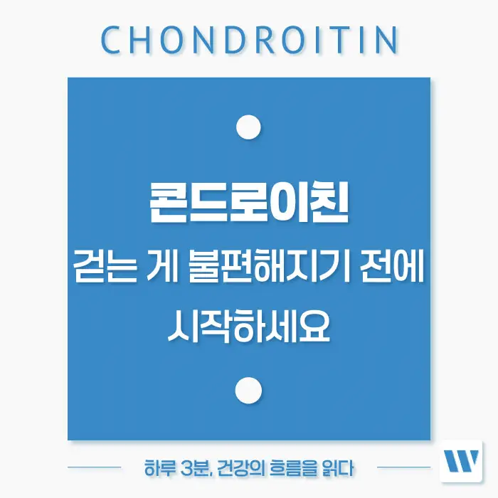 콘드로이친 효능, 복용법, 주의사항