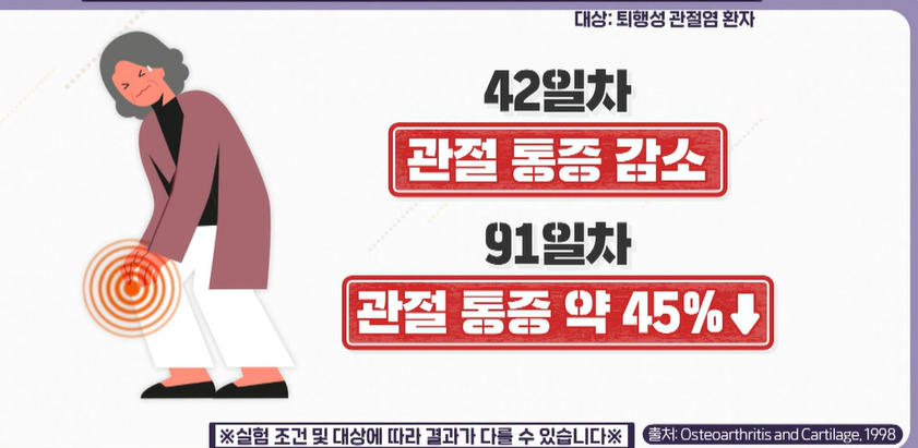 콘드로이친 효능