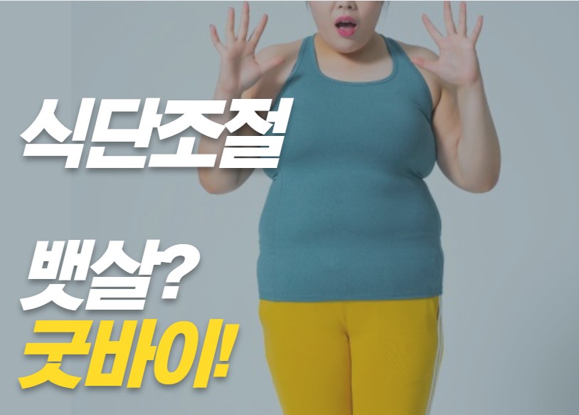 식단조절을 통한 체중감소 관련 사진