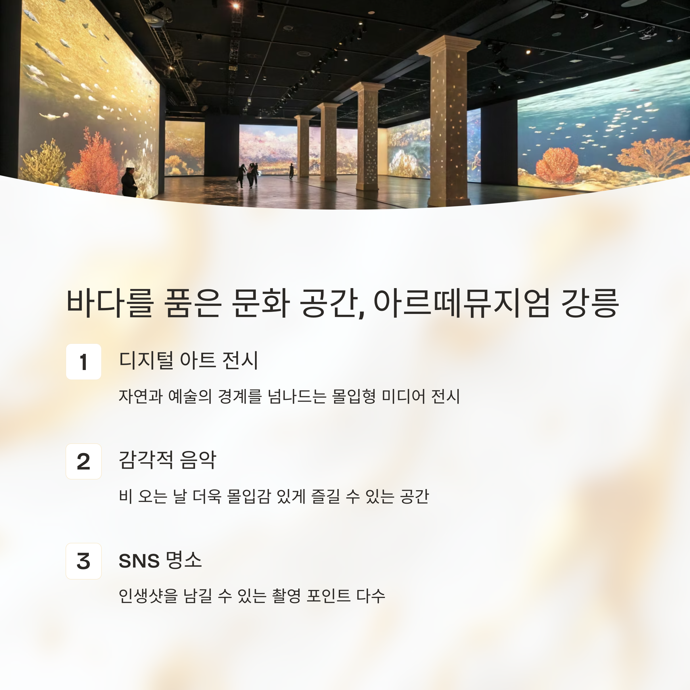 장마철에도 즐기는 강원도 실내 여행지 추천 TOP 7