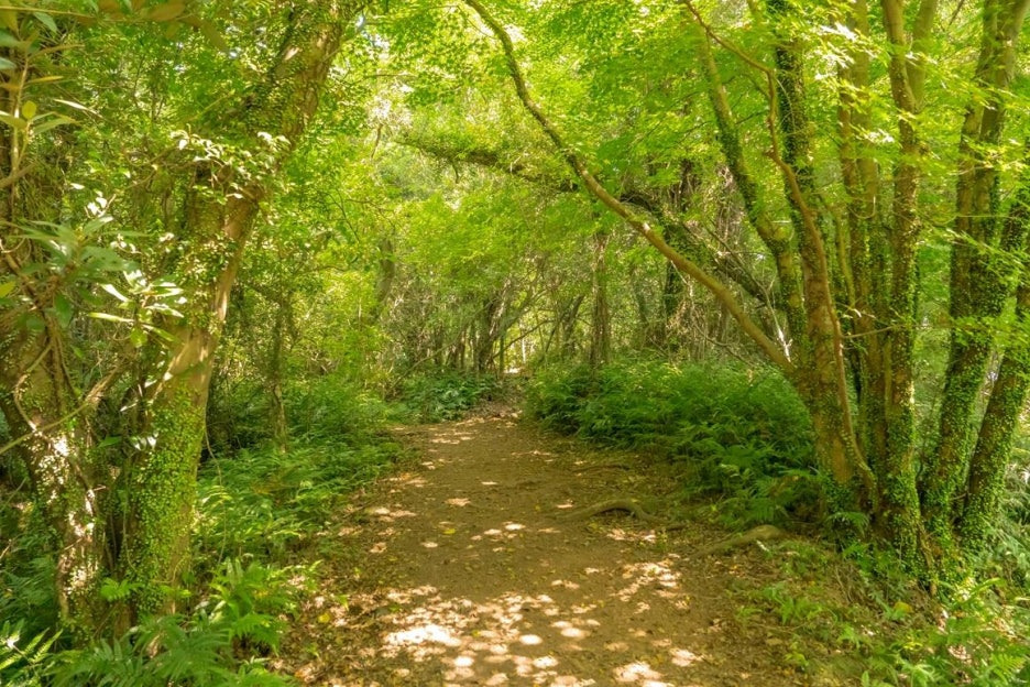 제주 겨울여행 나만의 취향으로 만나는 7가지 여행