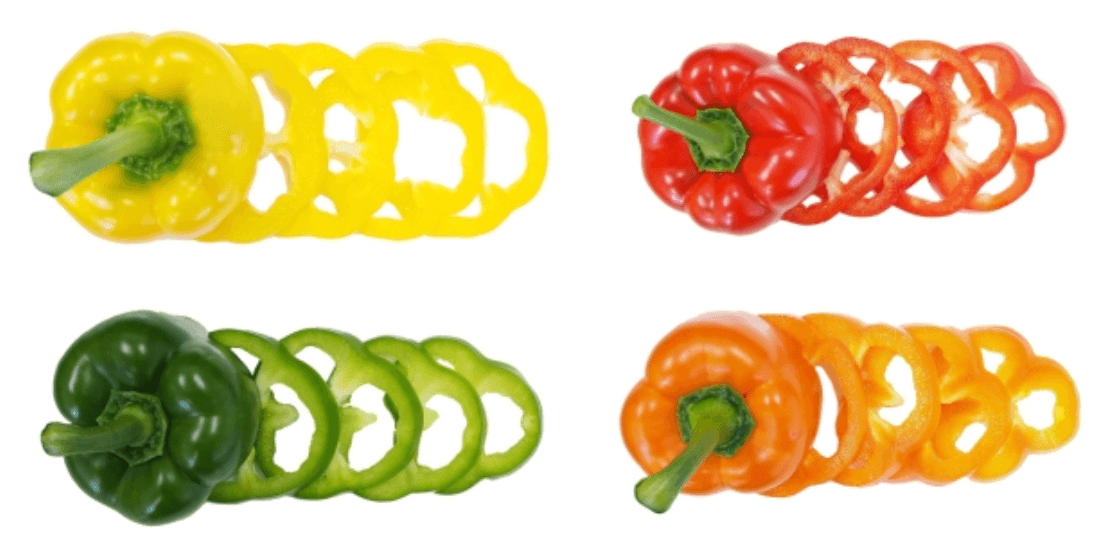 파프리카 4종류 사진