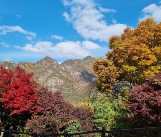 2025 내변산 단풍 절정 시기 &amp; 코스 추천 ❘ 직소폭포&middot;내소사 가을여행