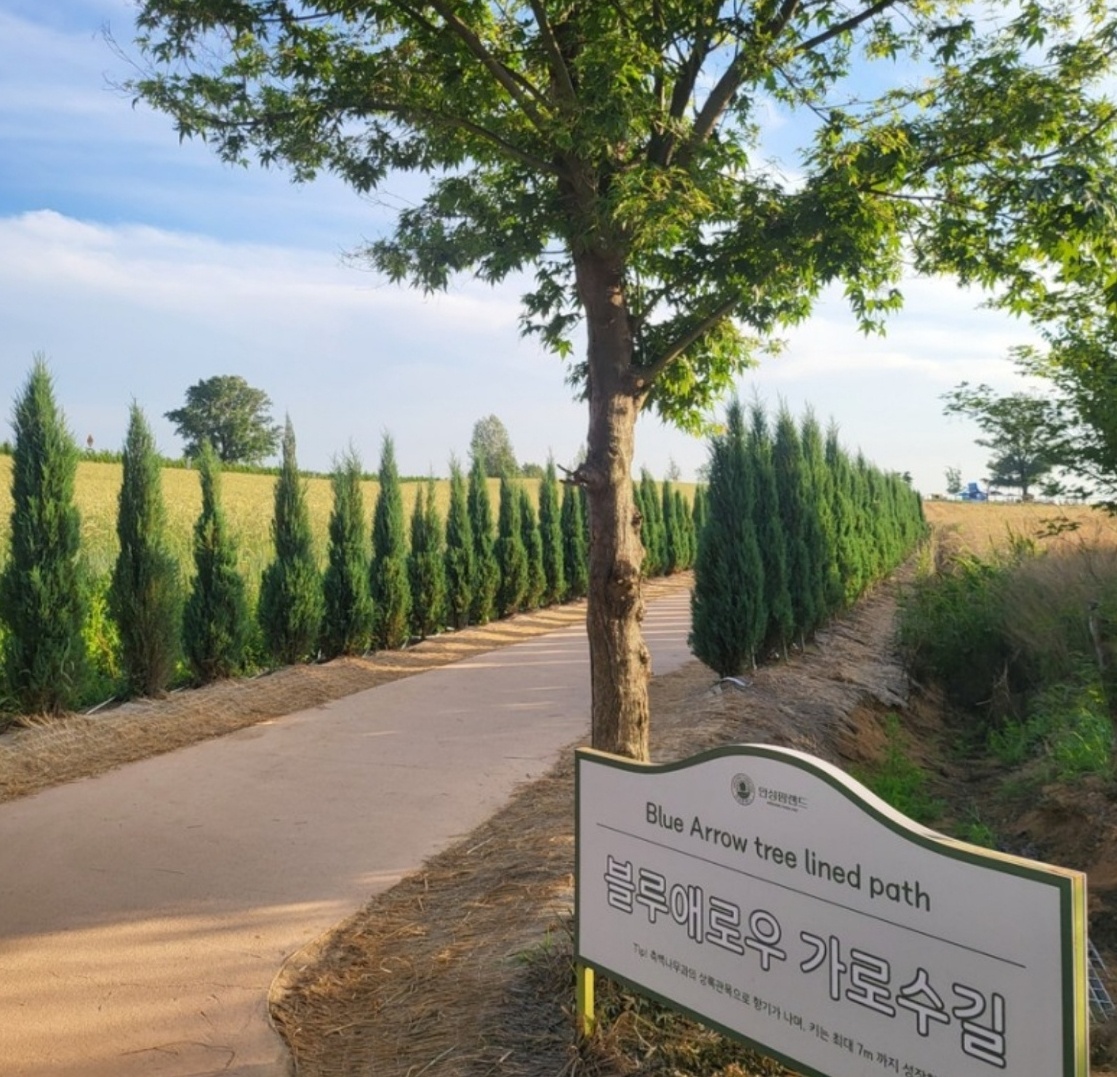 안성 팜랜드 이미지