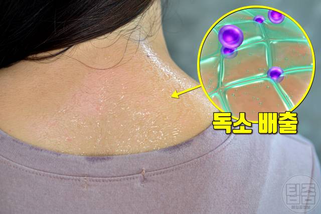 따듯한 물 6잔의 기적,따듯한 물 효능,독소