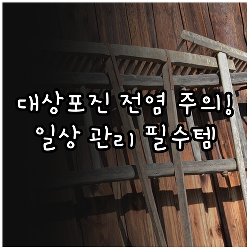 대상포진 전염 주의사항과 일상 속 관..