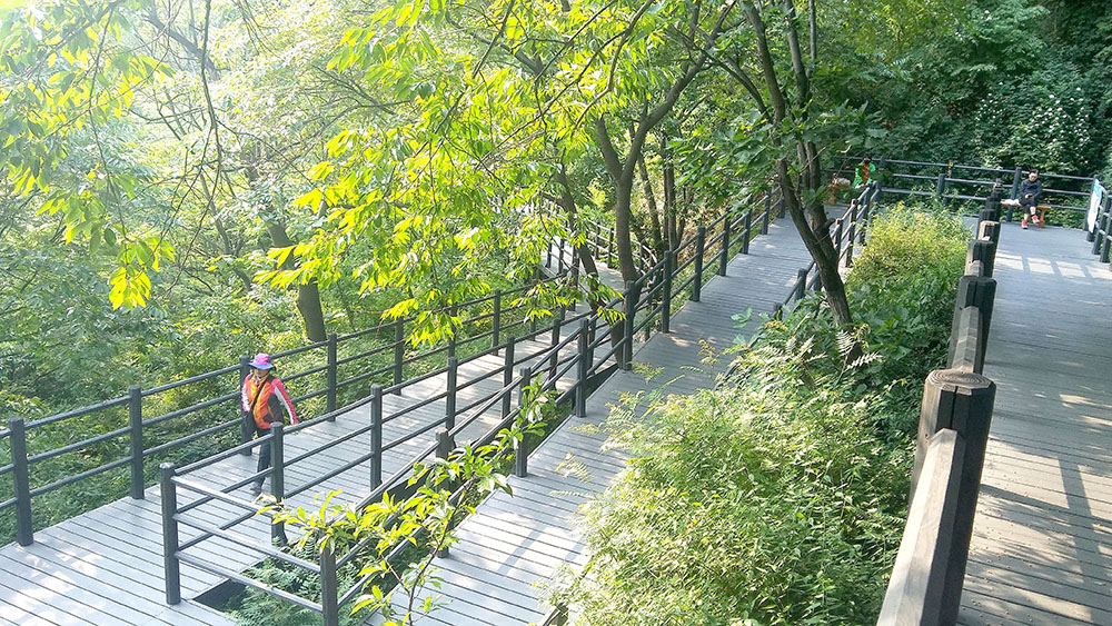 서대문구 안산자락길(AnsanJarakgil)을 걷다