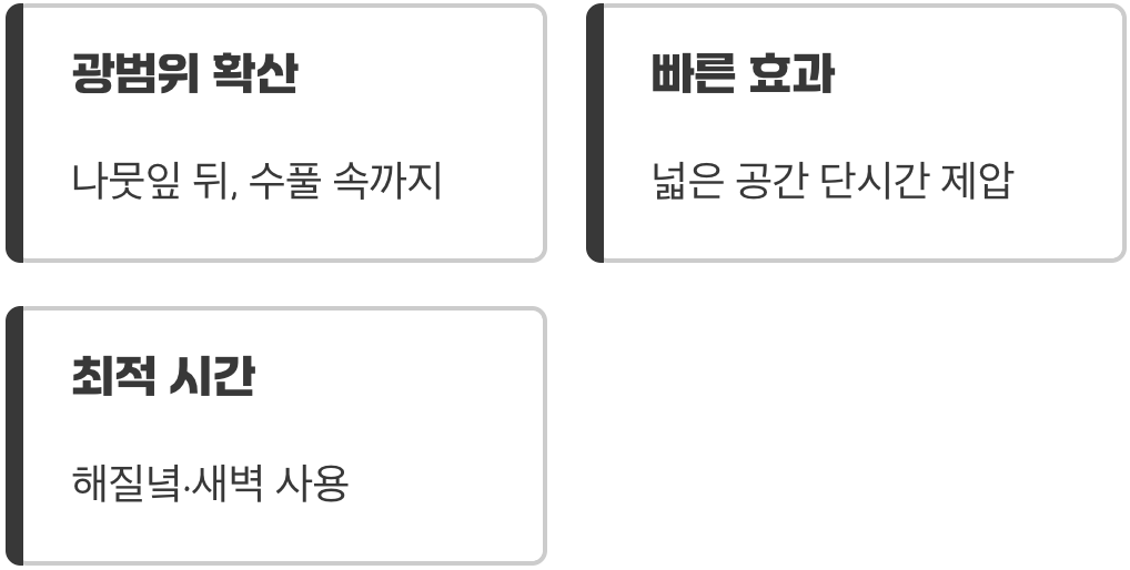 날아다니는 벌레들의 저승사자