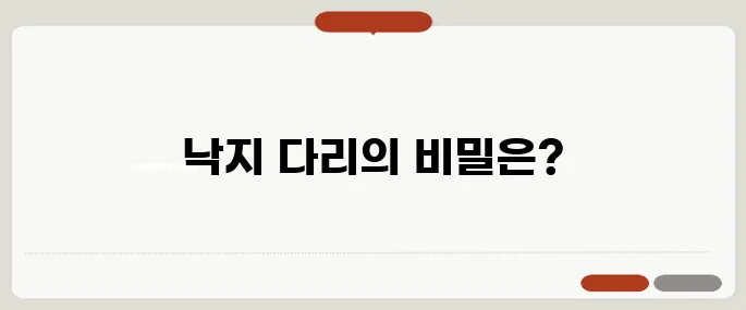 낙지 다리개수 과학적으로 확인된 숫자
