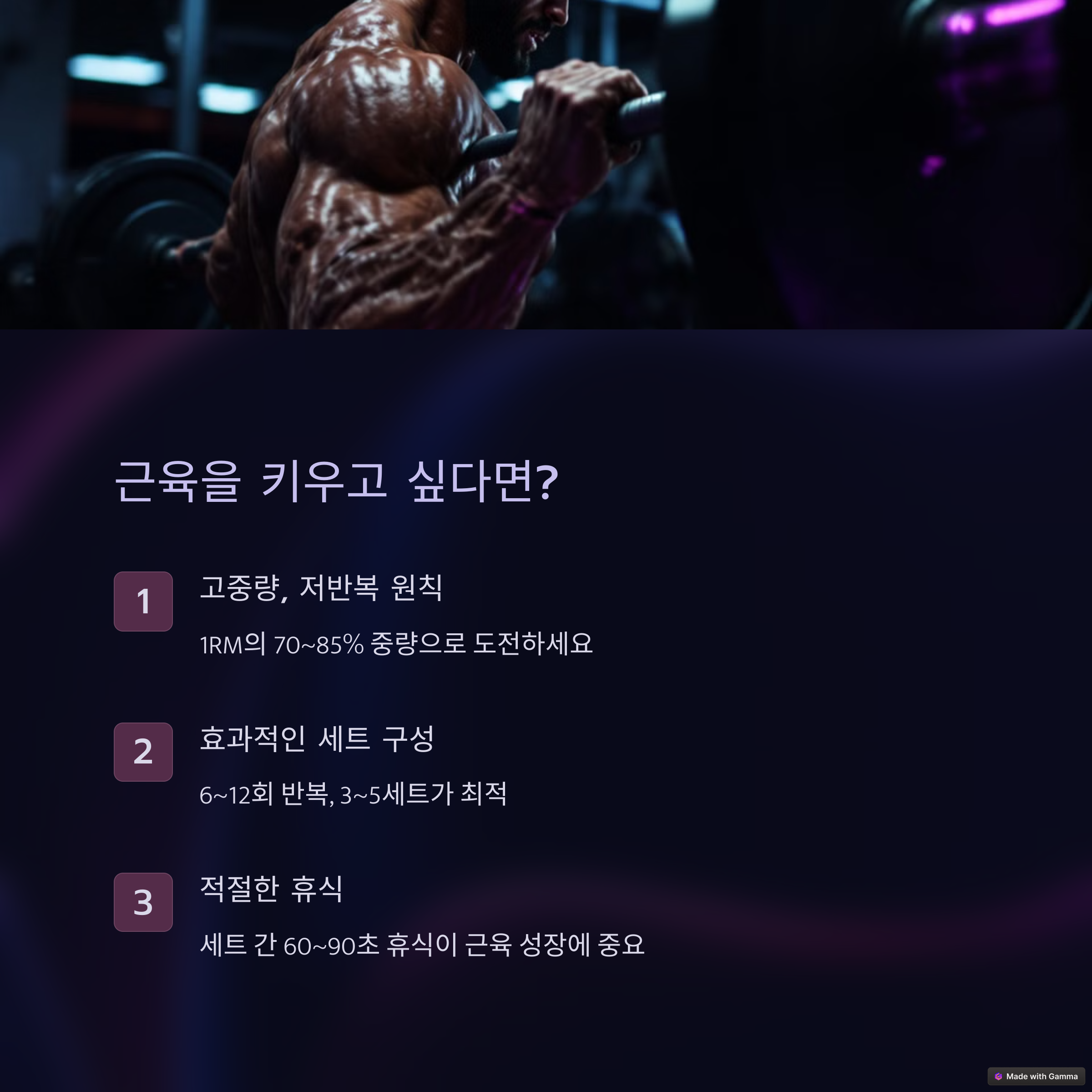 운동 프로그램 분석