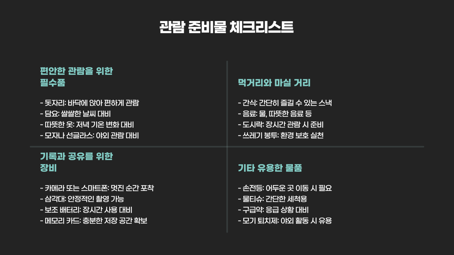 한강 드론 라이트쇼 완벽한 관람을 위한 준비