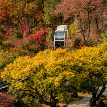 2024화담숲 가을단풍축제