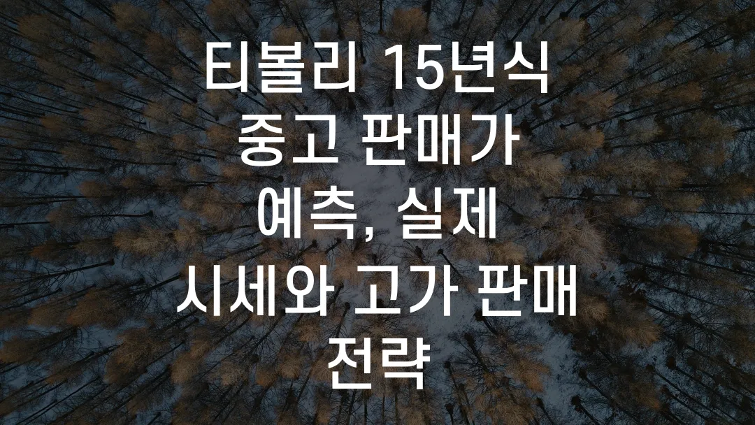 티볼리 15년식 중고 판매가 예측, 실제 시세와 고가 판매 전략