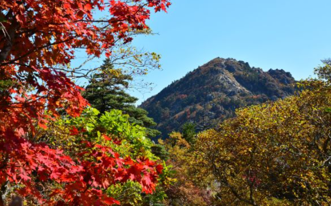 2025 지리산 단풍 절정 시기 & 실시간 현황 + 인기 등산코스 총정리