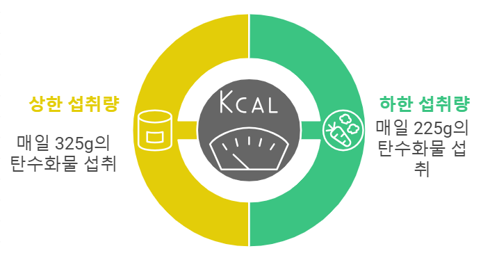 탄수화물 섭취 가이드