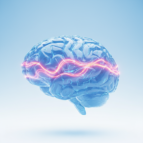 머리가 맑아져요! 침향환&amp;#44; 뇌 건강에 탁월한 이유