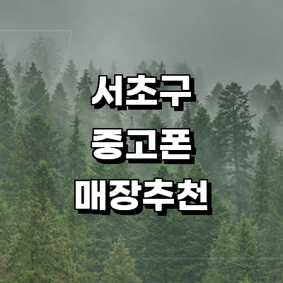 서울 서초구 중고폰