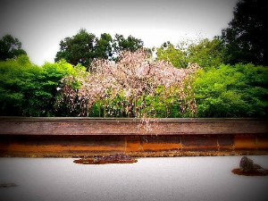 교토 여행 추천 교토 료안지