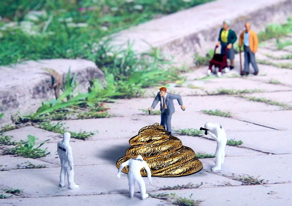 똥 변기 화장실 똥꿈