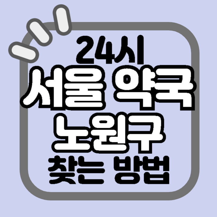 서울 노원구 24시 야간 주말 공휴일 명절 추석 설 약국 병원 동물병원 찾기