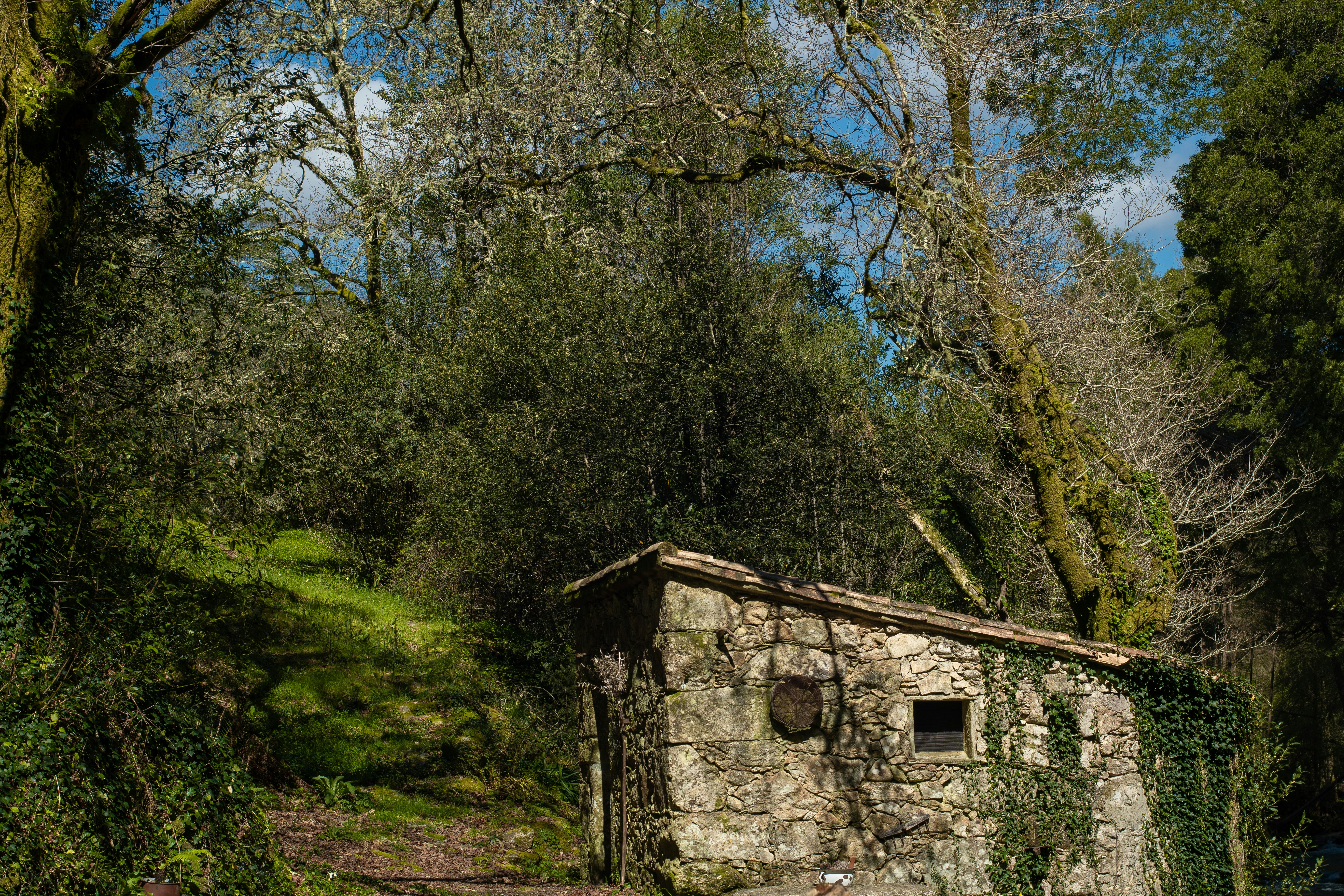 돌담으로 둘러싸인 산중 토막집 관련 사진