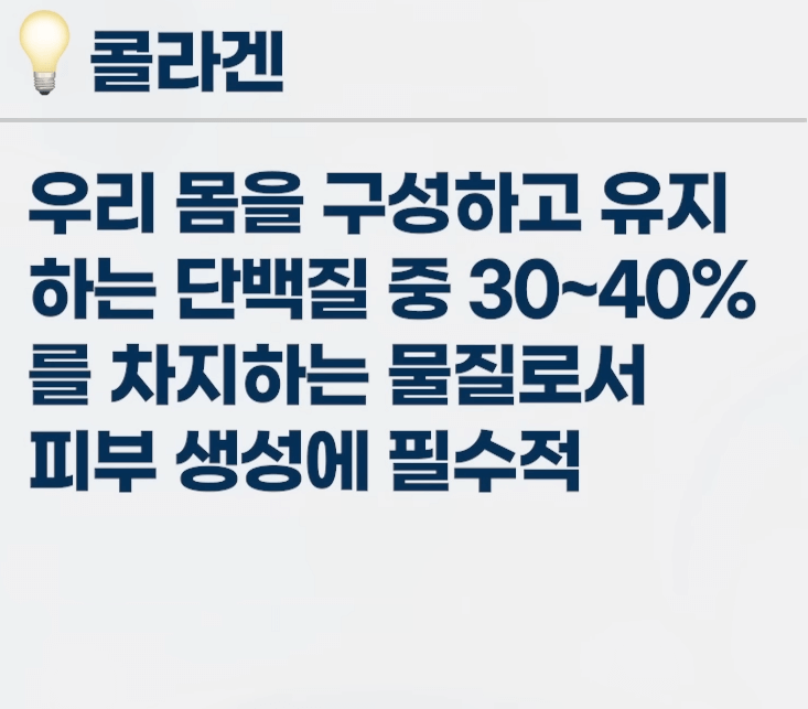 콜라겐