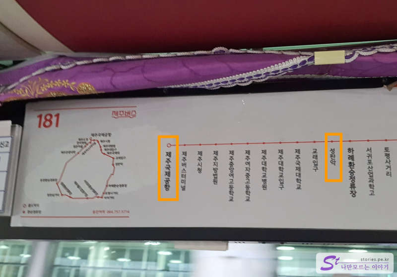 181번 버스