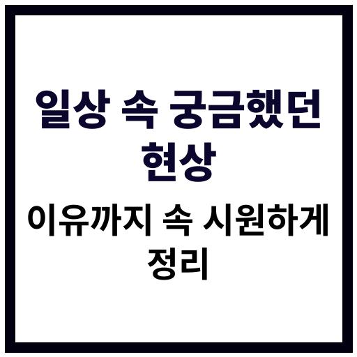 일상에서 궁금했던 현상과 이유 정리 이미지