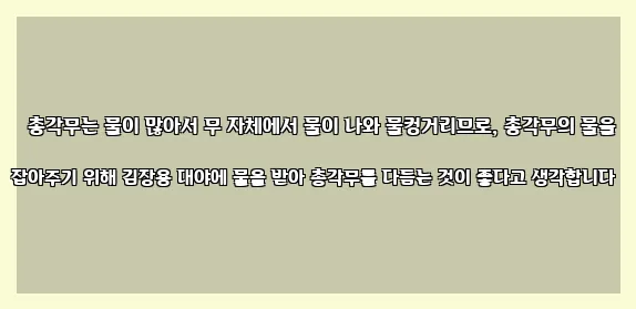  총각무는 물이 많아서 무 자체에서 물이 나와 물컹거리므로, 총각무의 물을 잡아주기 위해 김장용 대야에 물을 받아 총각무를 다듬는 것이 좋다고 생각합니다