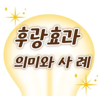 후광효과 뜻 실제 사례 유래 반대 개념 비판 시각_13