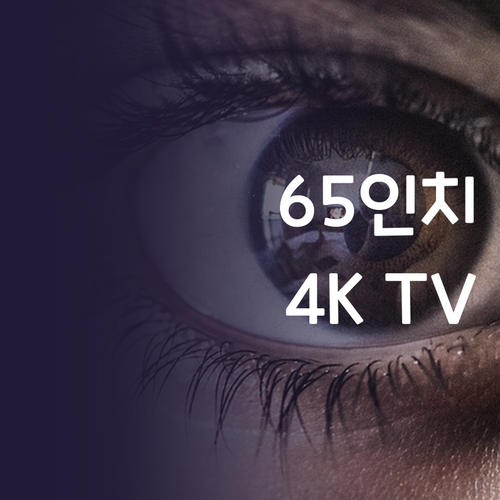 65인치 4K TV 구매 가이드 현명..