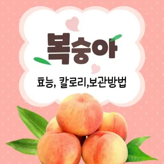 복숭아 보관방법과 싱싱하게 유지하는 팁_4
