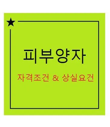 건강보험 의료보험 피부양자 상실요건