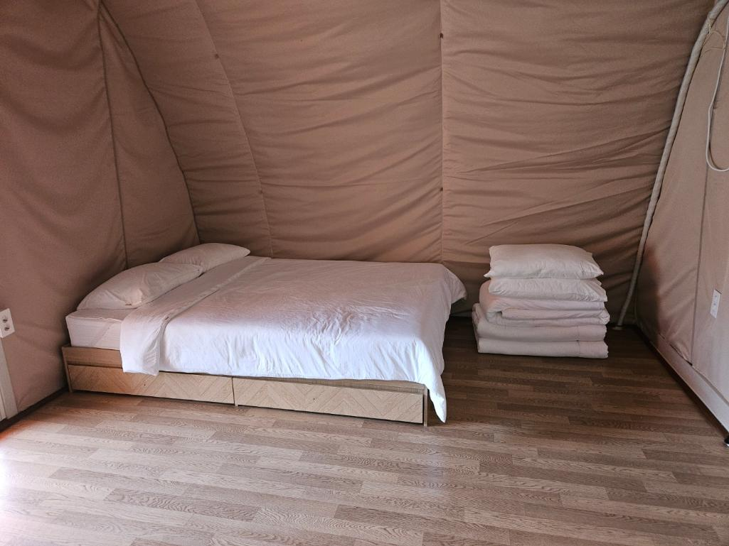 피톤치드 글램핑장