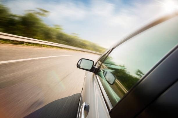 815-사면-대상자-확인