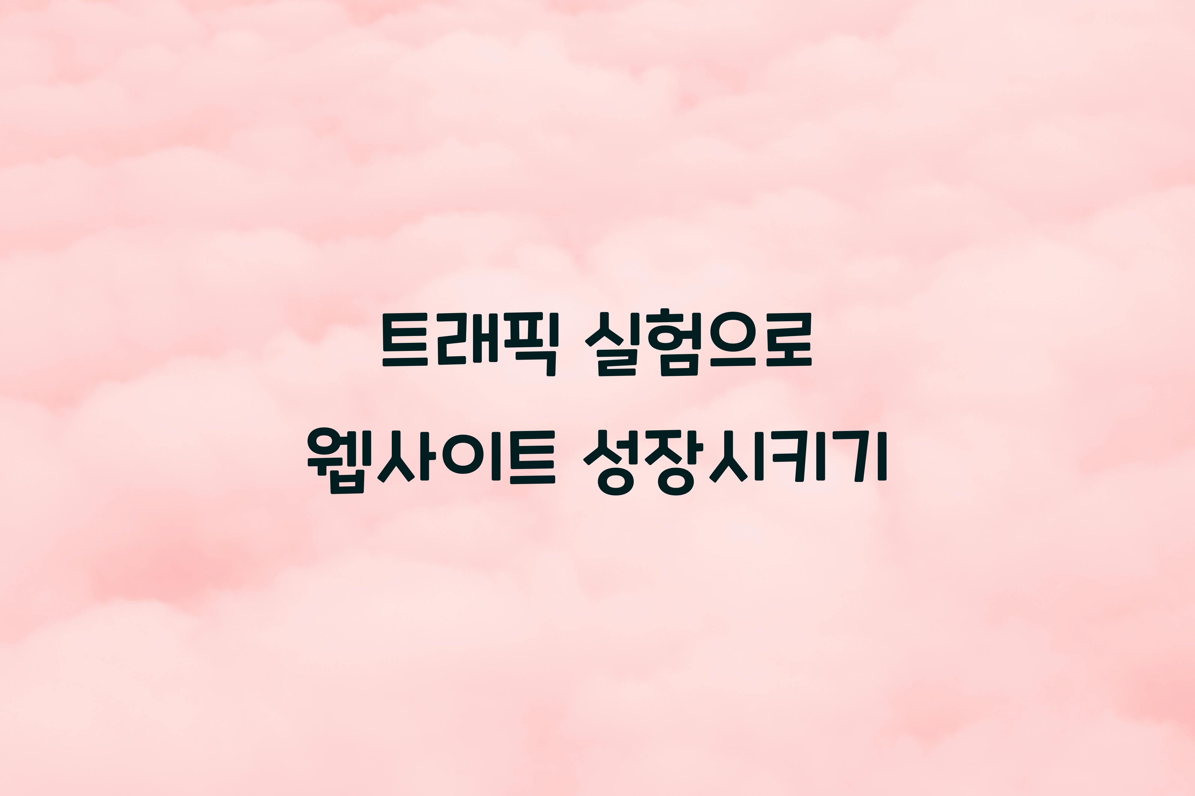 트래픽 실험