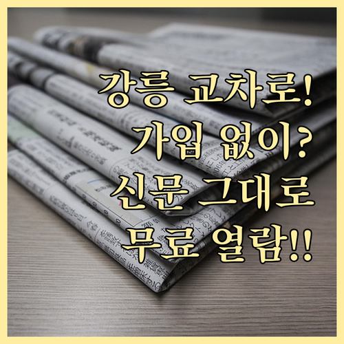 강릉 교차로 신문 그대로보기 회원가입..
