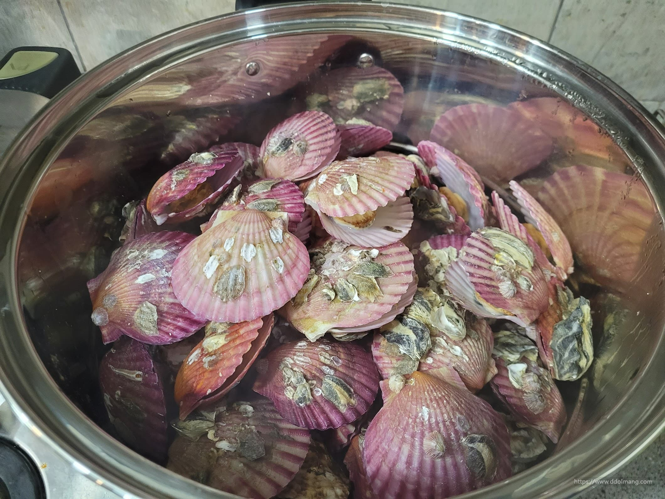 완성된 각굴 가리비 찜