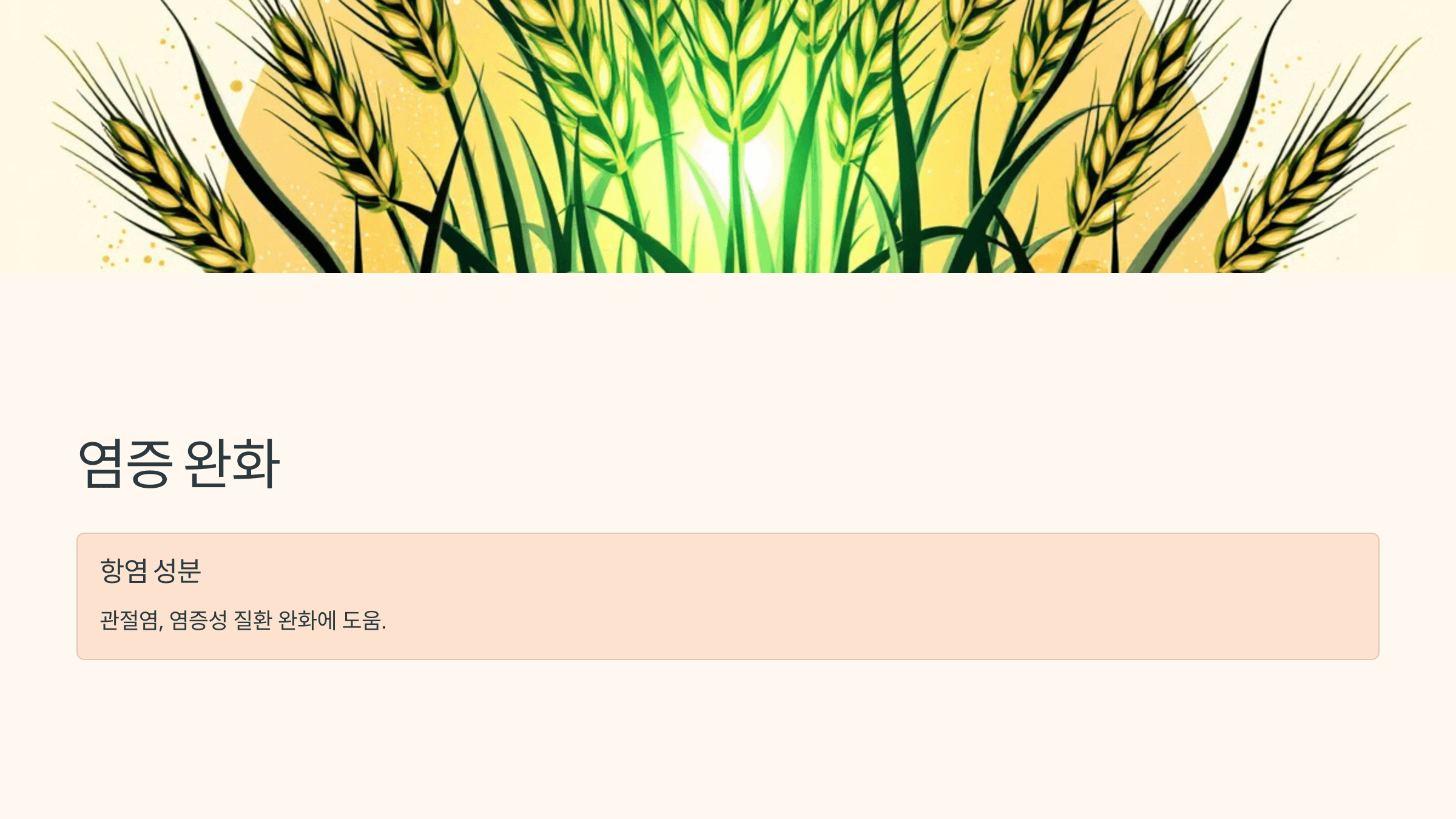 새싹보리 사진입니다.