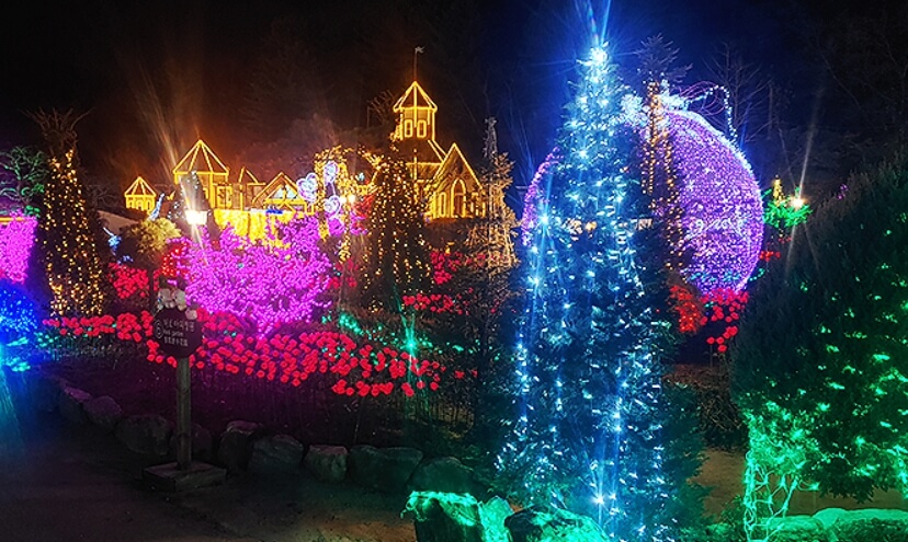 허브아일랜드 불빛동화축제
