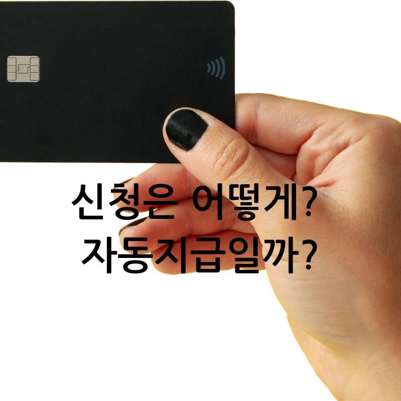 민생회복 소비쿠폰 &amp;#44;대전 시민