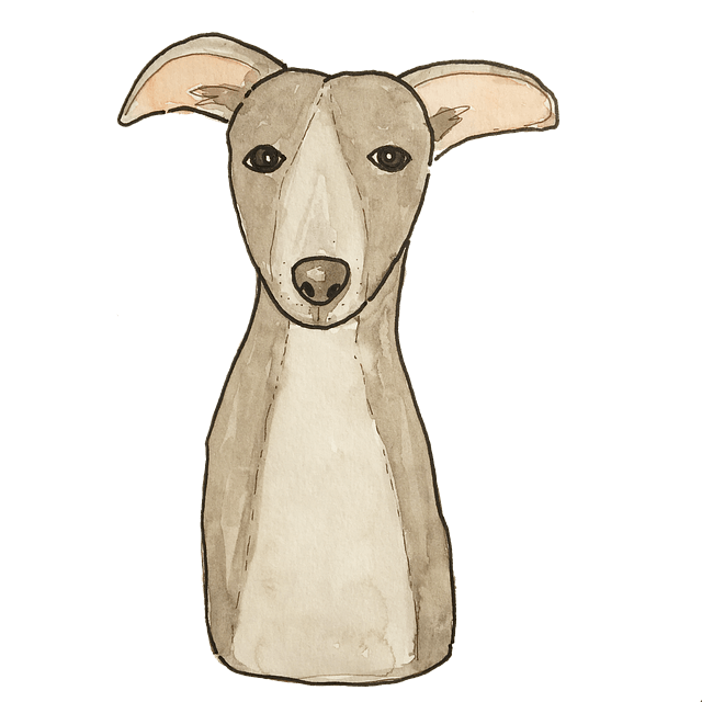 캐시워크 돈버는퀴즈 정답 11월 8일 