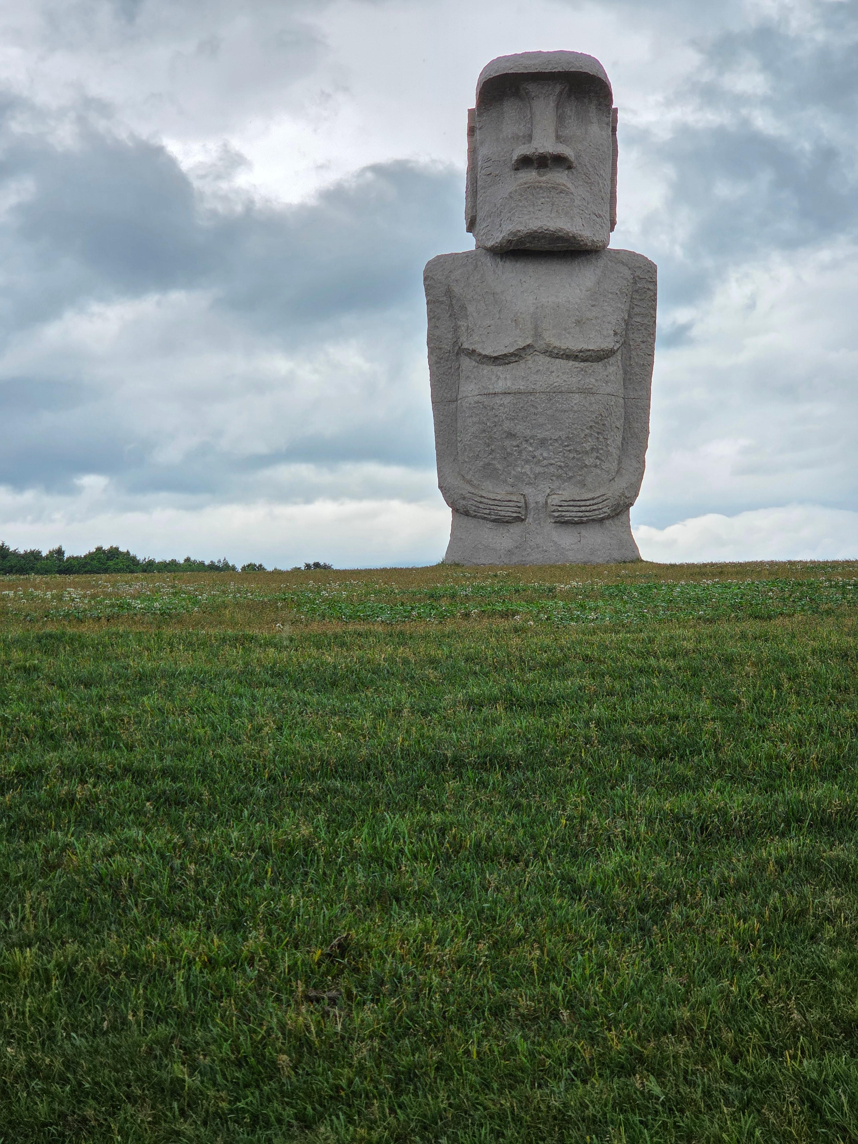 잔디밭에 줄지어 서 있는 모아이상 조각들