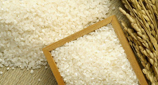 건강한 쌀 고르는 법 사진
