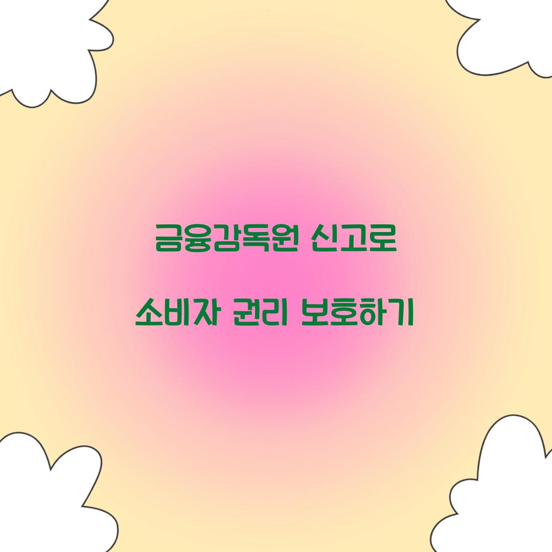 금융감독원 신고