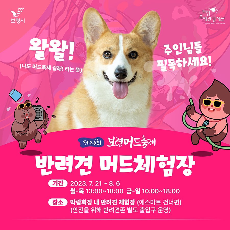 반려견 머드체험장